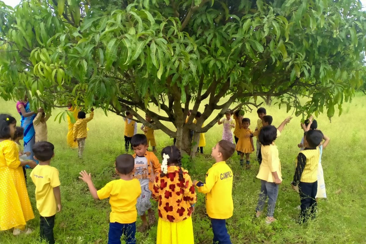 Mango day Shanthiniketan Public School